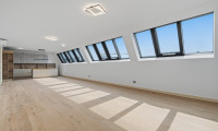Wohnung - 1020, Wien - Karmeliterviertel | Traumhafte 5 Zimmer - Maisonette im Dachgeschoss mit (optionaler) Garage im Haus