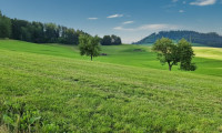 Grundstück - 8792, Sankt Peter-Freienstein - Ihr Platz an der Sonne: Exponierte Aussichtslage eingebettet in traumhafter idyllischer Wiesenlandschaft