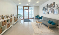 Büro / Praxis - 4812, Pinsdorf - repräsentativer Büroraum zu mieten