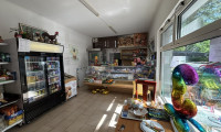 Einzelhandel - 1210, Wien - Top Einzelhandel in 1210 Wien – gepflegt und günstig zu mieten !