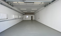 Halle / Lager / Produktion - 2345, Brunn am Gebirge - Halle 87m² mit ebenerdiger Einfahrt in Top Lage im Industriezentrum