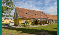 Haus - 8410, Wildon - Selbst ist der Hausherr – Bastlerhit mit Nebengebäuden auf ca. 900 m² bei Wildon