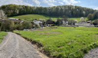 Grundstück - 2533, Klausen-Leopoldsdorf - Aufgeschlossenes Baugrundstück in Klausen-Leopoldsdorf zu kaufen!