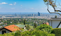 Haus - 1170, Wien - Aussicht die begeistert - charmantes Grundstück mit Sommerhaus