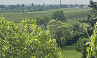 Grundstück - 2504, Sooß - Großes Baugrundstück 2059m² in 2504 Sooß – Traum-Eigenheim in Niederösterreich!