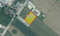 Grundstück - 2721, Bad Fischau-Brunn - Baugrundstück für Eigenheim in 2721 Bad Fischau-Brunn – Preis €189.000,-