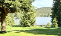 Haus - 3665, Edlesberg - Das Haus am Edlesberger See – ein Rückzugsort mit Charakter