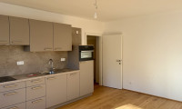 Wohnung - 1200, Wien - Charmante, sanierte Singlewohnung in ruhiger Lage - 1200 Wien
