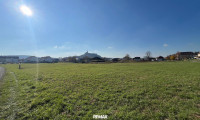 Grundstück - 7540, Güssing - Großes Baugrundstück (ca. 1 ha) in Güssinger Ortsrandlage!