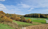 Grundstück - 7562, Eltendorf - Sonniges Grundstück in Eltendorf Südburgenland – Ruhe und Natur genießen. Landwirtschaftliche Grünfläche