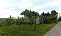 Haus - 8900, Zalaegerszeg - UNGARN: Haus („Pinze“) mit Sicht über die Weinberge 1 Stunde vom Balaton Ungarn