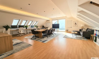 Büro / Praxis - 1230, Wien - 230m² BÜROFLÄCHE (od.KANZLEI od. PRAXIS) MIT 2 TERRASSEN--NETTOMIETE EUR 2800,- INKL. HEIZKOSTEN und BK