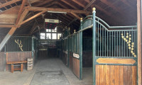 Land und Forstwirtschaft - 2852, Hochneukirchen - Exklusiver Pferdehof mit 2 Wohneinheiten, Reithalle & großem Grund in Hochneukirchen