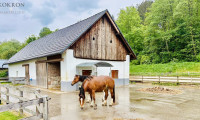 Haus - 9122, Seidendorf - Exklusives Reitanwesen mit 6 Wohneinheiten & Bauland in traumhafter Lage nahe dem Klopeiner See