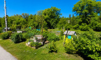 Grundstück - 4550, Kremsmünster - KREMSMÜNSTER | AU: Traumhaftes Grundstück in idyllischer Ruhelage – naturnah, selten und werthaltig