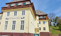 Wohnung - 2500, Baden - 4 Zimmer Wohnung in Villa - Top 1A + Terrasse - inklusive Heizung, zuzüglich Parkplatz