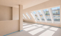 Wohnung - 1180, Wien - Stilvolle Dachgeschoß-Maisonette in Währing