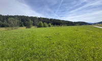 Grundstück - 8954, Tipschern - Baugrundstück nähe Schladming!