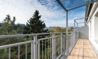 Wohnung - 1190, Wien - ALLEIN ODER ZU ZWEIT - PERFEKT AUFGETEILTE 2 ZIMMERDACHGESCHOSSWOHNUNG MIT GROSSER TERRASSE