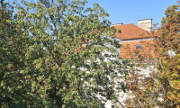 Wohnung - 1130, Wien - Einzigartige Gelegenheit in Hietzinger Bestlage!