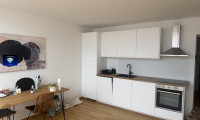 Wohnung - 1080, Wien,Josefstadt - 1080 Wien Schlösselgasse traumhaft schöne Maisonette mit Dachterrasse zu vermieten-1080