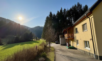 Haus - 4382, Waldhausen im Strudengau - Saniertes Landhaus mit Wiesen, Wald & eigenem Brunnen | 178 m² | 7.154 m² lastenfrei | Gloxwald, OÖ
