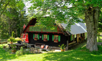 Haus - 8530, Osterwitz - EINZIGARTIGES ALMREFUGIUM IN DER WESTSTEIERMARK – Ihr persönlicher Rückzugsort auf 1.320 m Seehöhe!
