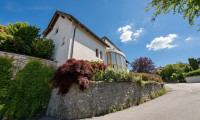 Haus - 4323, Münzbach - Großzügiges Familienhaus | 256 m² auf 3 Ebenen | Galerie mit 6 m Deckenhöhe | Doppelgarage | Whirlpool & Sauna | Münzbach, OÖ