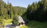 Haus - 3294, Neuhaus-Langau - Uriges Forsthaus am Zellerrain