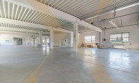 Halle / Lager / Produktion - 4060, Leonding - Großzügige Lagerhalle + Büro mit ca. 871m² Nutzfläche und Lastenlift in Leonding zu vermieten!