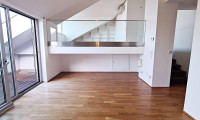 Wohnung - 1060, Wien - STUMPERGASSE, 104 m2 Dachgeschoß mit 14 m2 Freifläche, 2 Zimmer, Wohnküche, Wannenbad, Parketten, Klimaanlage, FUZO Mariahilfer Straße
