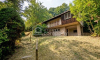 Grundstück - 2381, Laab im Walde - TRAUMHAFTES großes Grundstück in Ruhelage mit viel Potential im sonnigen SÜDHANG