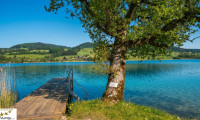 Haus - 4894, Oberhofen am Irrsee - neuer Kaufpreis Ausstellungsstück: modernes Mobilheim direkt am See zu verkaufen, keine Käuferprovision!