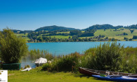 Haus - 4894, Oberhofen am Irrsee - neuer Kaufpreis Ausstellungsstück: modernes Mobilheim direkt am See zu verkaufen, keine Käuferprovision!
