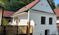 Haus - 7373, Piringsdorf - +++Liebevoll saniertes Bauernhaus mit Scheune in 7373 Piringsdorf!+++