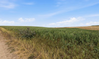 Grundstück - 2011, Untermallebarn - Landwirtschaftliche Fläche mit 7026 m² in Untermallebern zu verkaufen!