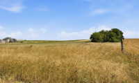 Grundstück - 2011, Untermallebarn - Wald- und landwirtschaftliche Fläche mit 20 370 m² in Untermallebern zu verkaufen!