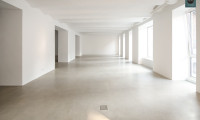 Büro / Praxis - 1100, Wien - Loft in bester Hoflage der Brotfabrik Wien!