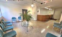 Büro / Praxis - 1220, Wien - Repräsentative Praxisliegenschaft in Bestlage!