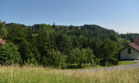 Grundstück - 4812, Pinsdorf - Natur pur am Vöcklaberg: Preiswertes Hanggrundstück in absoluter Ruhelage
