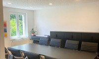 Büro / Praxis - 1190, Wien - Modernes Büro am Saarplatz – stilvolle Arbeitsräume in ruhiger Grünlage
