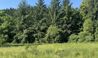Grundstück - 9155, Pudlach - Grundstücksflächen mit Bauland-Anteil und landwirtschaftlichem Nutzungspotenzial in Pudlach bei Lavamünd