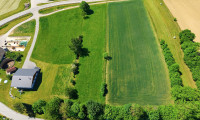 Grundstück - 4153, Peilstein im Mühlviertel - Landwirtschaftliche Nutzfläche & Waldgrundstück im Mühlviertel - 22.076 m² Natur, Wiese und Wald