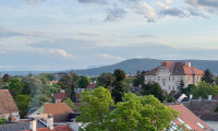 Wohnung - 2500, Baden - Traumhafter Ausblick unterm Dach!