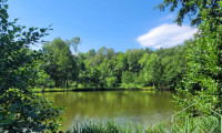 Grundstück - 7461, Goberling - Naturparadies mit Fischteich, Fischerhütte und Wasserrechten - nahe Stadtschlaining