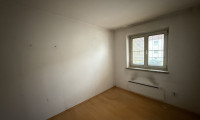 Wohnung - 3133, Traismauer - Traismauer: günstige Kleinwohnung im Erdgeschoß (Hochparterre)