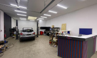 Halle / Lager / Produktion - 2601, Sollenau - Große Halle, Werkstatt inkl. Hebebühne  92 m² GSR7