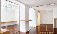 Büro / Praxis - 1190, Wien - Nussdorfer Platz: Moderne Bürofläche mit 96,7 m² und hochwertiger Ausstattung in repräsentativem Altbau