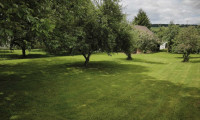 Grundstück - 2152, Pyhra - ORTSRANDRUHELAGE