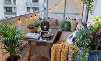 Wohnung - 4600, Wels - Tolle 2 ZIMMERWOHNUNG mit BALKON in Wels